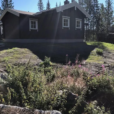 Lodge Fresh Familie With Outdoor Sauna