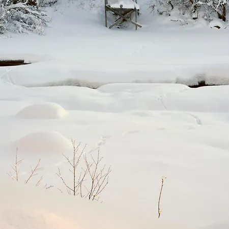 Fresh Familie With Outdoor Sauna * Hemsedal