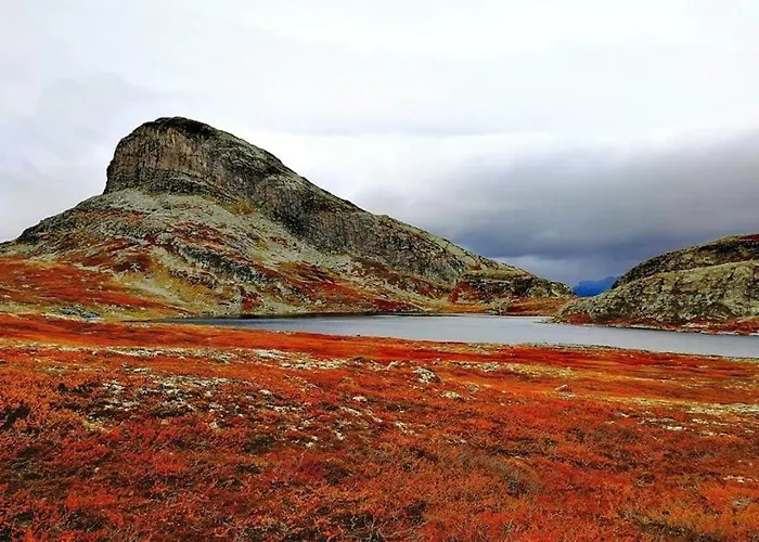롯지 Fresh Familie With Outdoor Sauna *