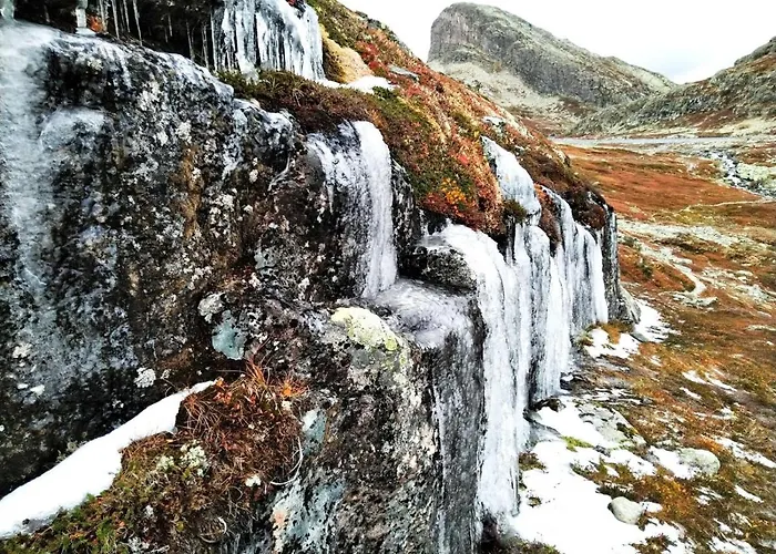 Fresh Familie With Outdoor Sauna